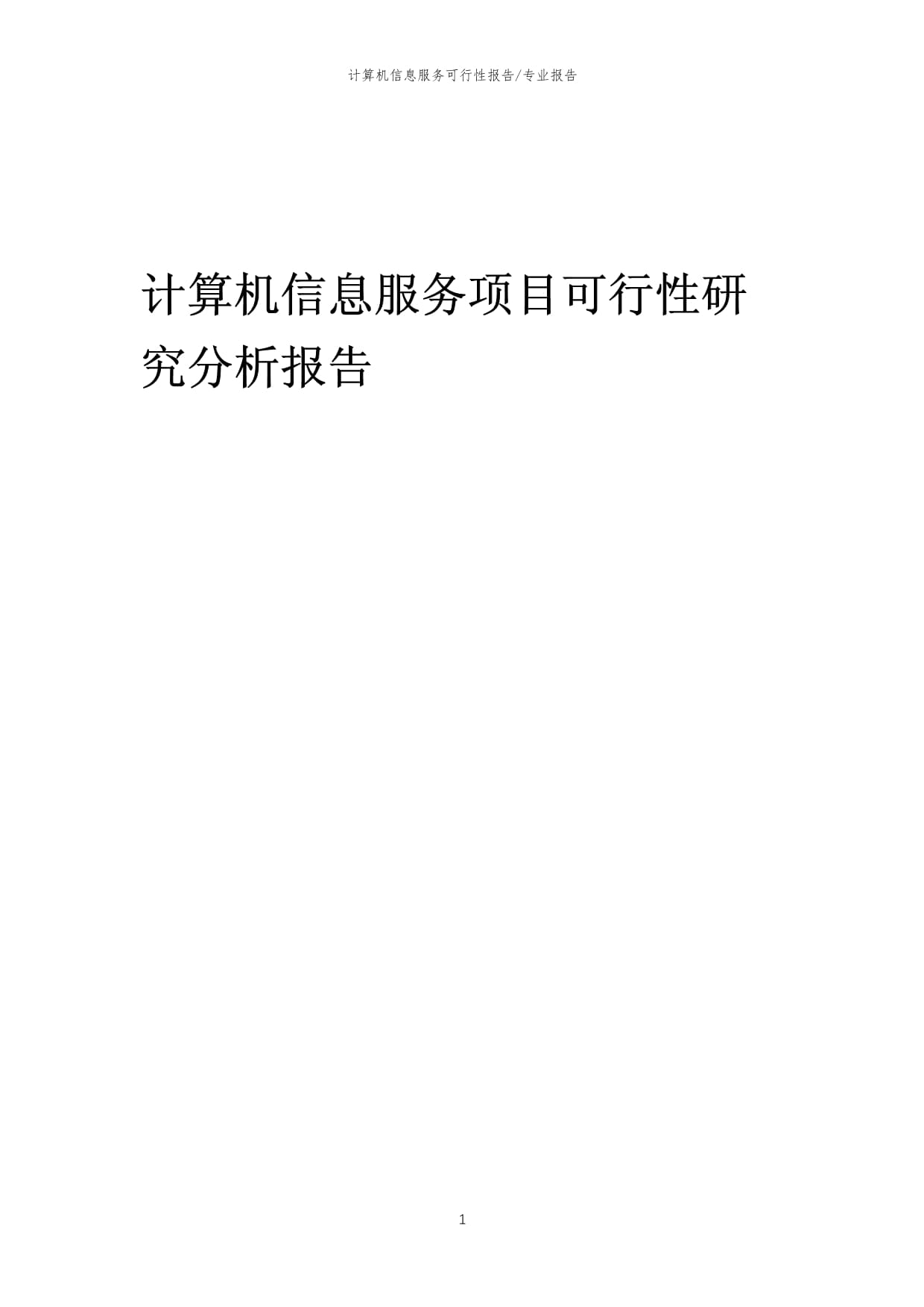 2023年计算机信息服务项目可行性研究分析报告